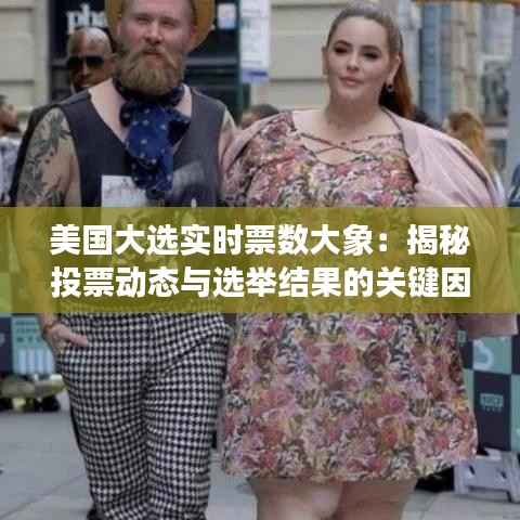 美国大选实时票数大象:揭秘投票动态与选举结果的关键因素