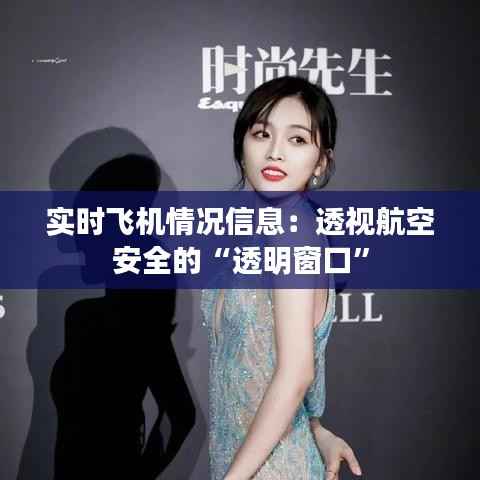 实时飞机情况信息:透视航空安全的“透明窗口”