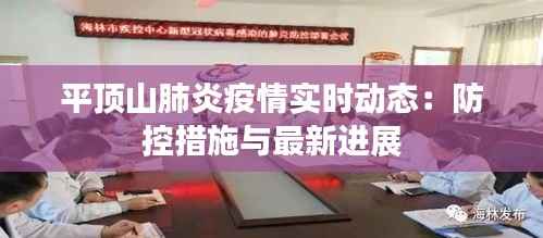 平顶山肺炎疫情实时动态:防控措施与最新进展