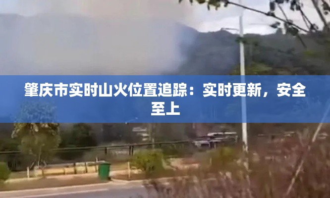 肇庆市实时山火位置追踪:实时更新,安全至上