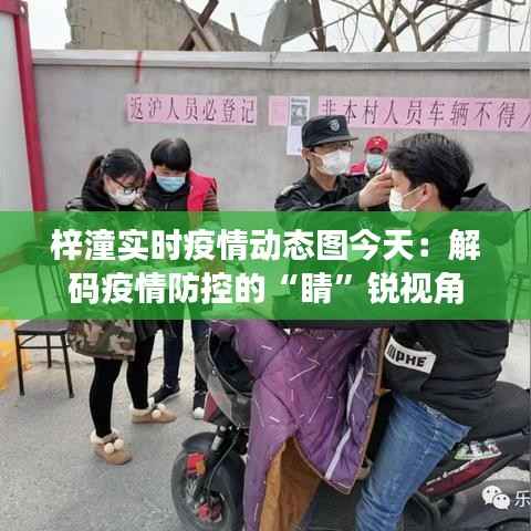 纲挈目张 第3页