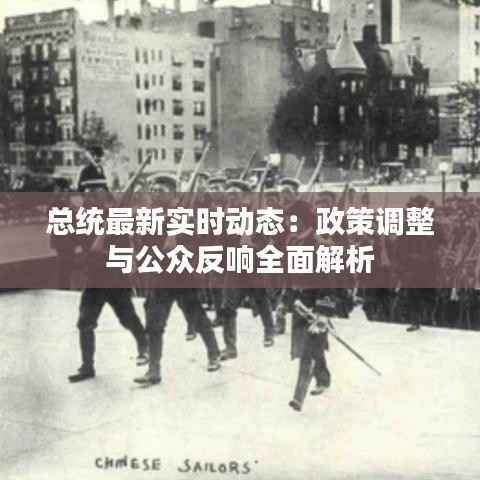 总统最新实时动态：政策调整与公众反响全面解析