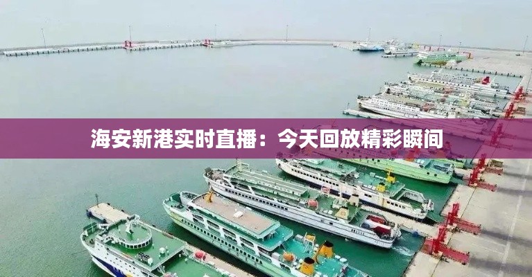 海安新港实时直播:今天回放精彩瞬间