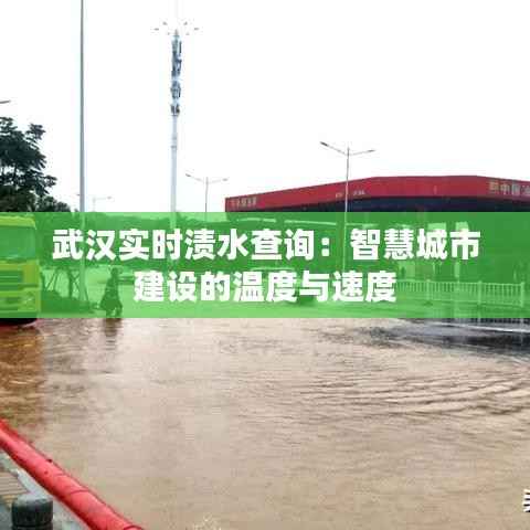 武汉实时渍水查询：智慧城市建设的温度与速度