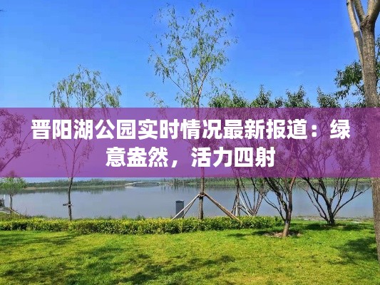 晋阳湖公园实时情况最新报道：绿意盎然，活力四射