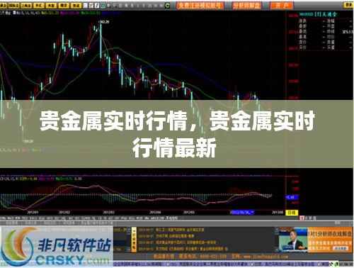 贵金属实时行情,贵金属实时行情最新