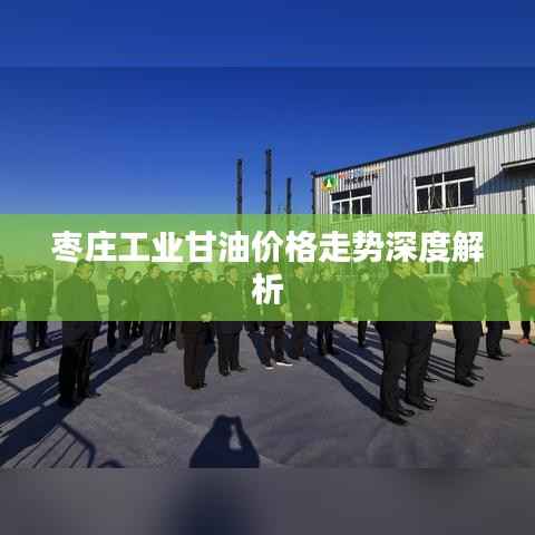 枣庄工业甘油价格走势深度解析