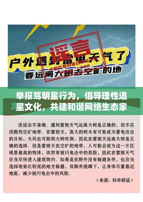 举报骂明星行为,倡导理性追星文化,共建和谐网络生态家园