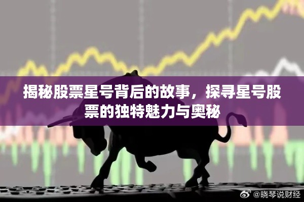 揭秘股票星号背后的故事，探寻星号股票的独特魅力与奥秘