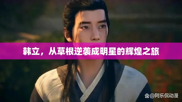 韩立,从草根逆袭成明星的辉煌之旅