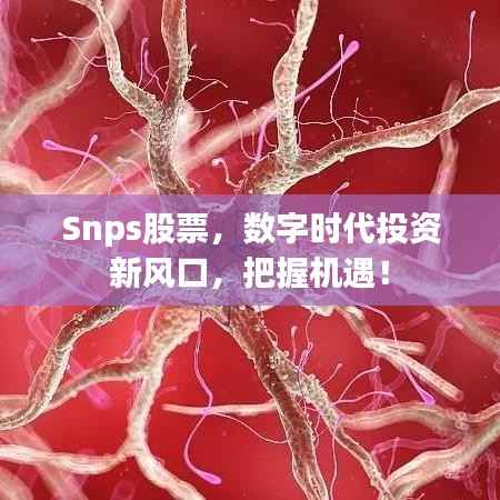Snps股票,数字时代投资新风口,把握机遇!