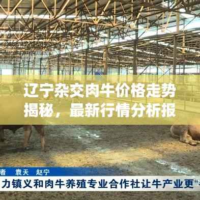 辽宁杂交肉牛价格走势揭秘，最新行情分析报告！