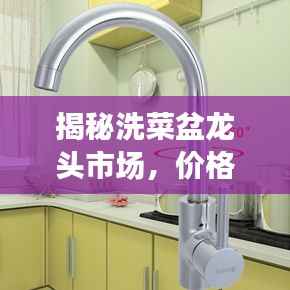 揭秘洗菜盆龙头市场,价格走势解析与满意产品选购指南