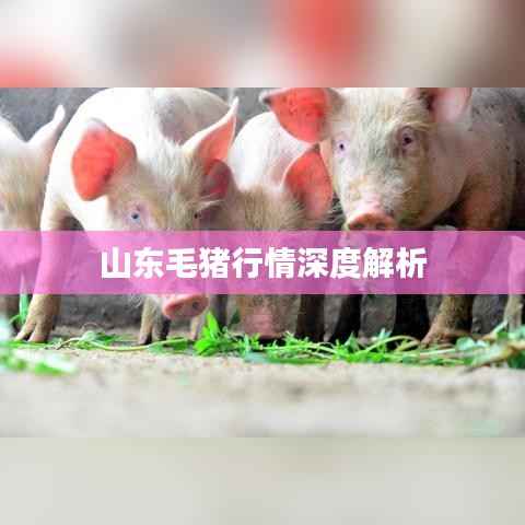 眉目如画 第3页