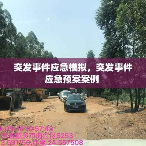 突发事件应急模拟,突发事件应急预案案例