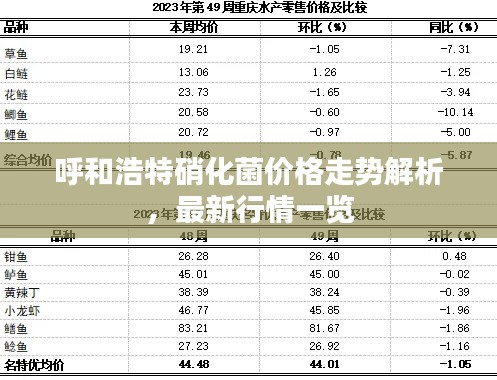 呼和浩特硝化菌价格走势解析,最新行情一览