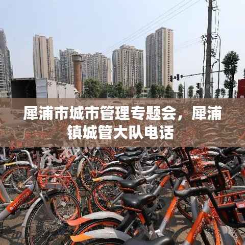 犀浦市城市管理专题会，犀浦镇城管大队电话 