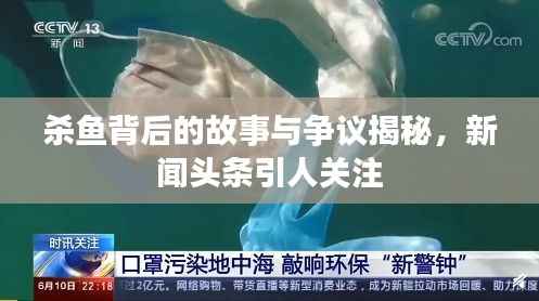 杀鱼背后的故事与争议揭秘,新闻头条引人关注