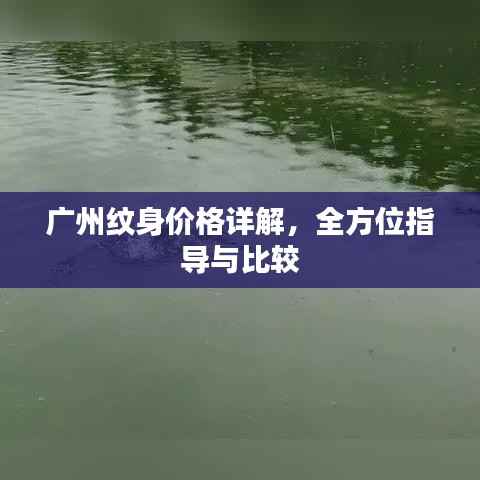 广州纹身价格详解,全方位指导与比较