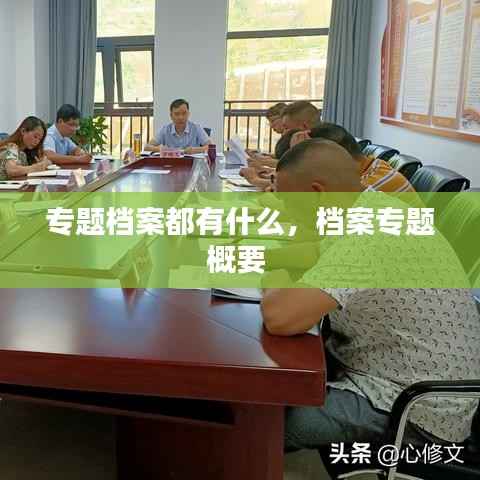 专题档案都有什么,档案专题概要