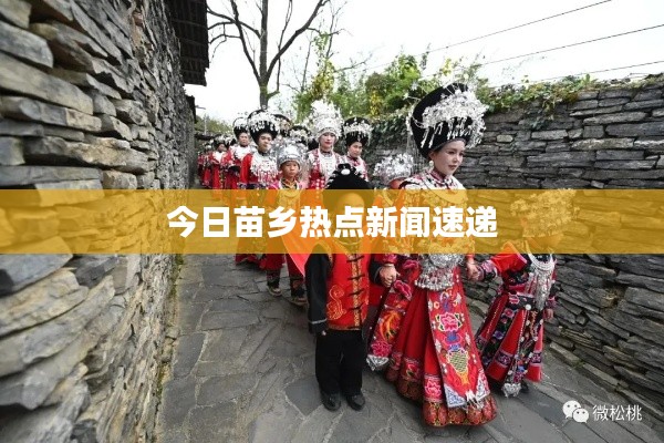 今日苗乡热点新闻速递