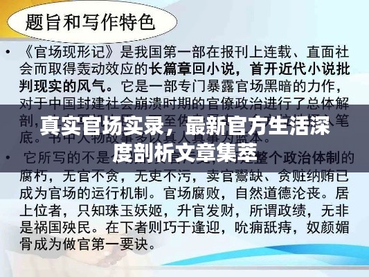 真实官场实录，最新官方生活深度剖析文章集萃