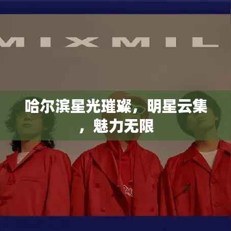 哈尔滨星光璀璨,明星云集,魅力无限