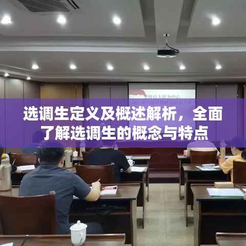 选调生定义及概述解析,全面了解选调生的概念与特点