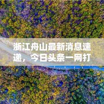 浙江舟山最新消息速递,今日头条一网打尽!