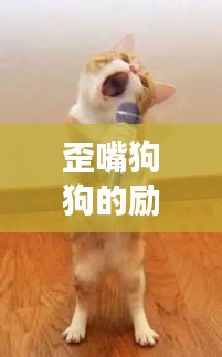 歪嘴狗狗的励志人生,勇敢前行,不畏挑战