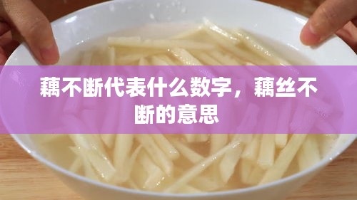 藕不断代表什么数字,藕丝不断的意思