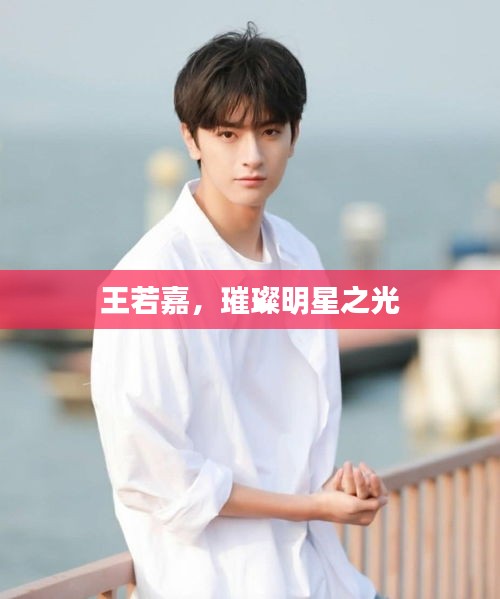 王若嘉，璀璨明星之光