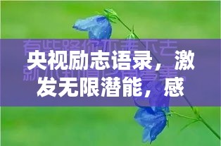 央视励志语录,激发无限潜能,感受努力的力量