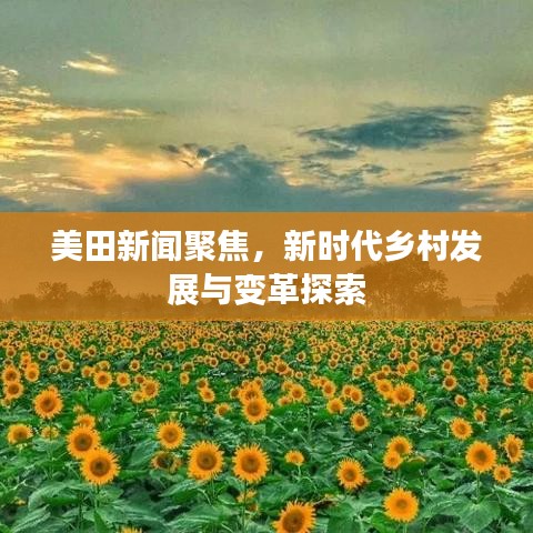 美田新闻聚焦,新时代乡村发展与变革探索