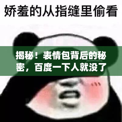 揭秘!表情包背后的秘密,百度一下人就没了表情包探秘之旅!