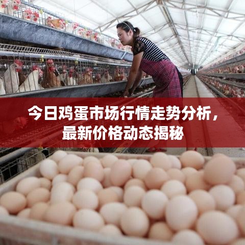 秀外慧中 第2页