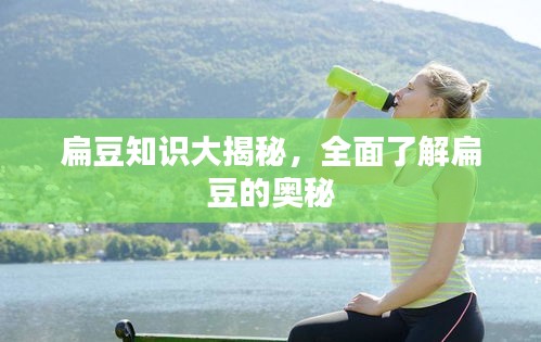 扁豆知识大揭秘,全面了解扁豆的奥秘