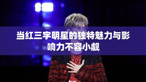 当红三字明星的独特魅力与影响力不容小觑