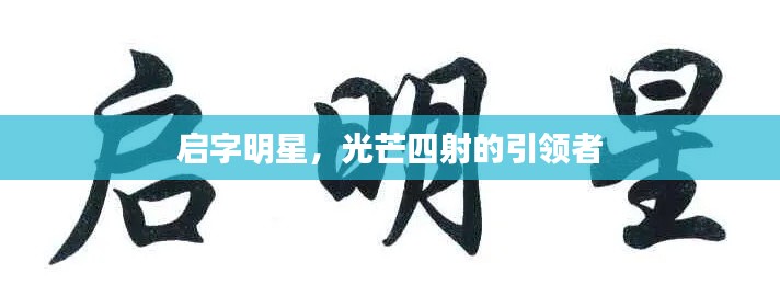 启字明星,光芒四射的引领者