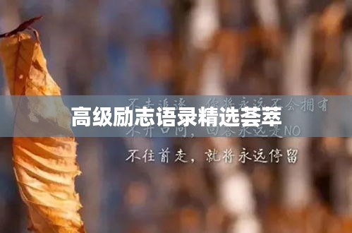 高级励志语录精选荟萃