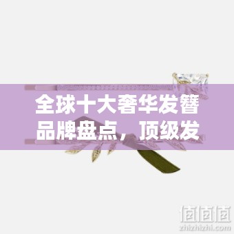 全球十大奢华发簪品牌盘点，顶级发饰价格大揭秘！