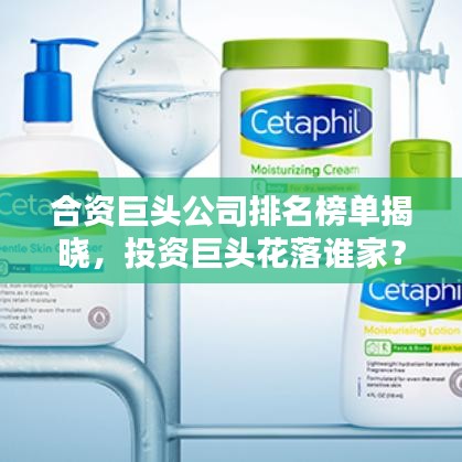 合资巨头公司排名榜单揭晓,投资巨头花落谁家?