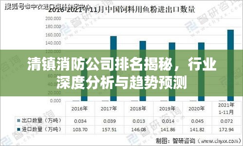 清镇消防公司排名揭秘,行业深度分析与趋势预测