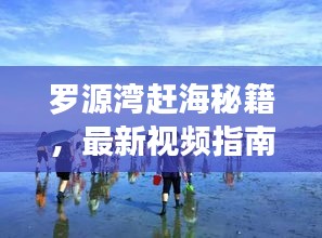 罗源湾赶海秘籍，最新视频指南，带你探索海鲜盛宴！