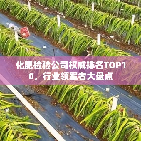 化肥检验公司权威排名TOP10,行业领军者大盘点