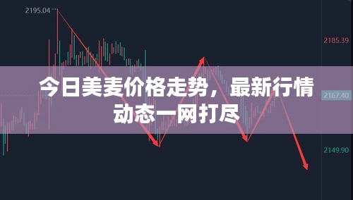 今日美麦价格走势,最新行情动态一网打尽