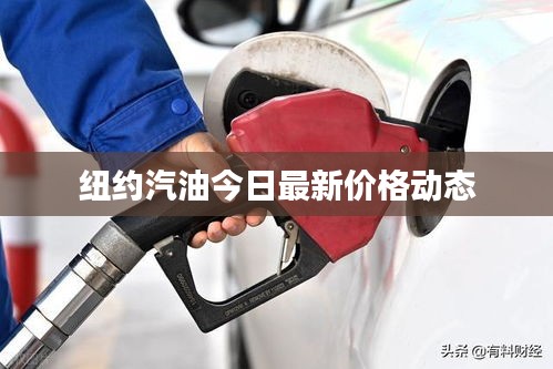 纽约汽油今日最新价格动态