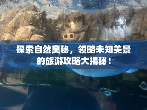 探索自然奥秘,领略未知美景的旅游攻略大揭秘!