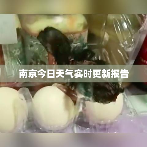 南京今日天气实时更新报告