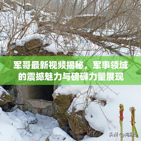 军哥最新视频揭秘，军事领域的震撼魅力与磅礴力量展现